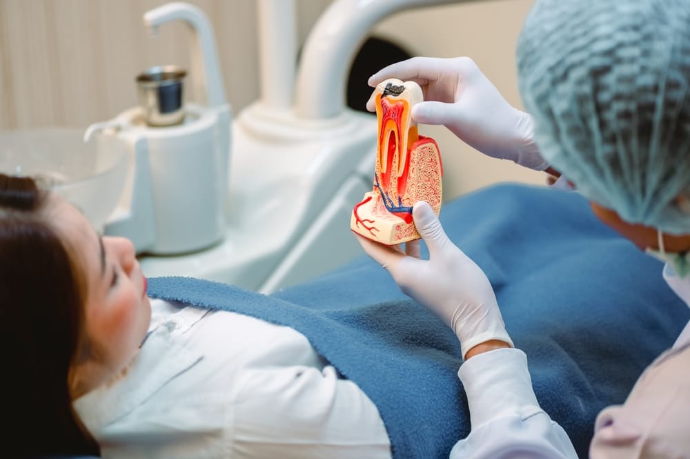 A dentist showing a patient a model of a tooth while the patient lies in the dental chair - root canal